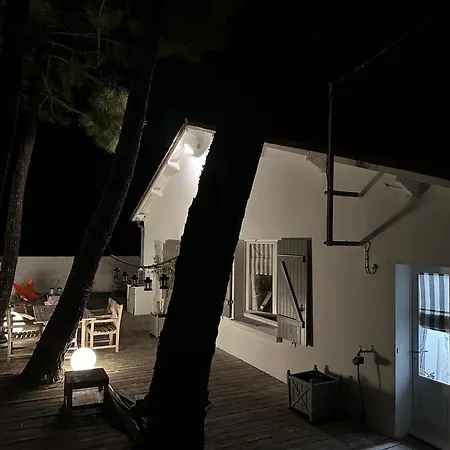 Villa Piscine Privee Chauffee 300 M Plage A La Mer